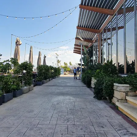 The Belvedere فيلة